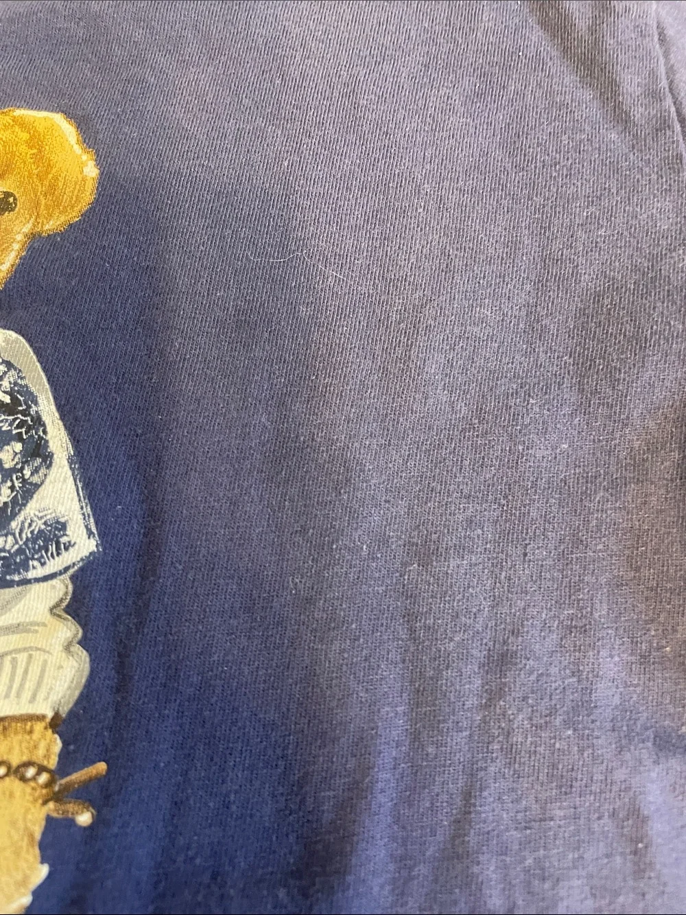 Ralph Lauren Navy Polo Bear Graphic Tee with Green Sneakers